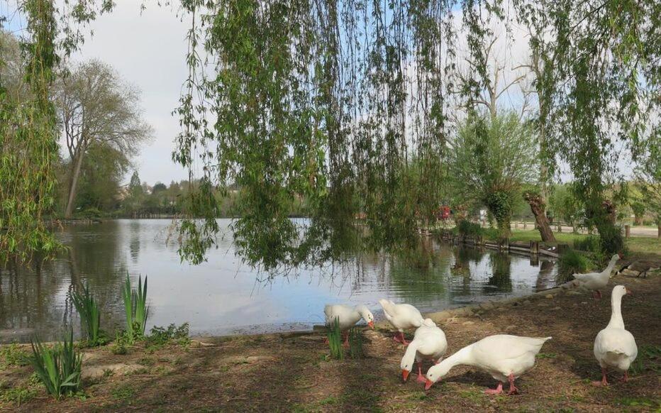 Le Clos Des Marais De Fontenay المظهر الخارجي الصورة